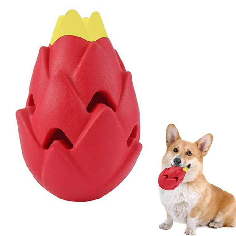 Play with high-quality dog chew toys, stylishly designed