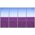 thumbnail image 2 of Lavender Flowers with Blue Horizon - Oversized Landscape Wall Art Print, 2 of 3
