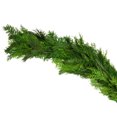 thumbnail image 2 of 7.62 m (25 ft.) Premium Fresh Princess Pine and Western Red Cedar Garland, 2 of 3