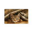 thumbnail image 3 of JML Non-Slip MicrofiberFabric & Rubber Doormat - Soft Entryway Rug for Home/Office (20"x32") - Easy Clean Door Mat for Indoor/Outdoor Use, Cat, 3 of 6