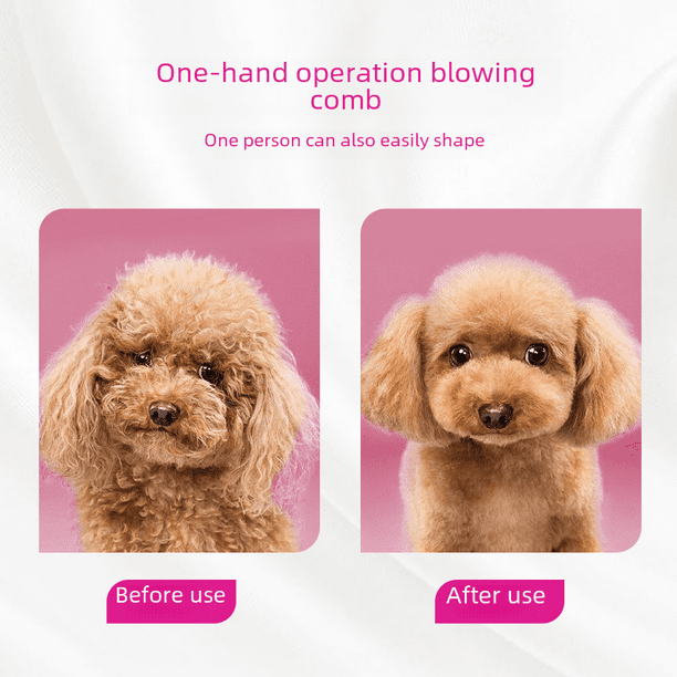Secador de pelo para mascotas Golden Retriever Pet Shop Peluqueria para perros Secado y extraccion de pelo Peine soplador Maquina sopladora de pelo