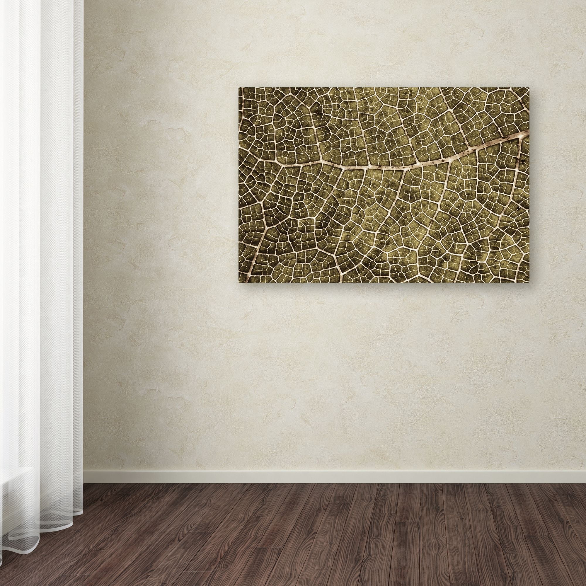 Trademark Fine Art 'Sepia Leaf Texture' Canvas Art by Cora Niele