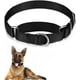 thumbnail image 1 of 1 unidad (M) collar de perro martingala a prueba de fugas, collar de martingala negro, collar ajustable de nailon para mascotas para perros medianos, niños y niñas, entrenamiento para caminar, viajar   JM, 1 of 5