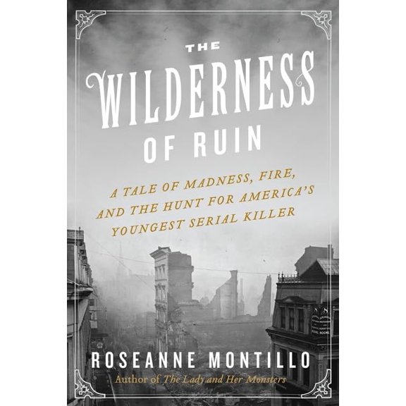 Pre-Owned The Wilderness of Ruin: A Tale of Madness, Fire, and the Hunt for America's Youngest Serial Killer (Hardcover) 0062273477 9780062273475