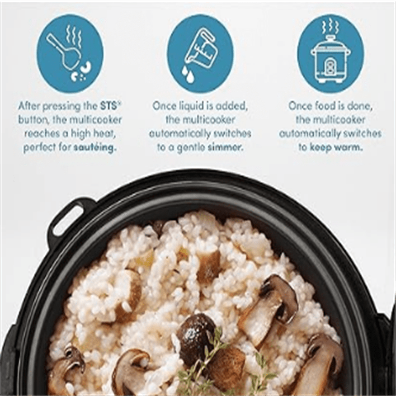 Housewares Professional  20 Cup (Cooked) Digital Rice Cooker, Food Steamer, Slow Cooker, Stainless Exterior/Nonstick Pot, Silver, Black, 10-cup uncooked/20-cup cooked/4QT