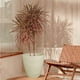 thumbnail image 4 of Maceta Minimalista 20x11 Moderna Interior Exterior beige Elly Decor MCA01TRR-20x11PMINA, 4 of 6