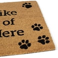 thumbnail image 6 of BirdRock Home Beware of Dog Coir Front Door & Entry Doormat - 18" x 30", 6 of 6