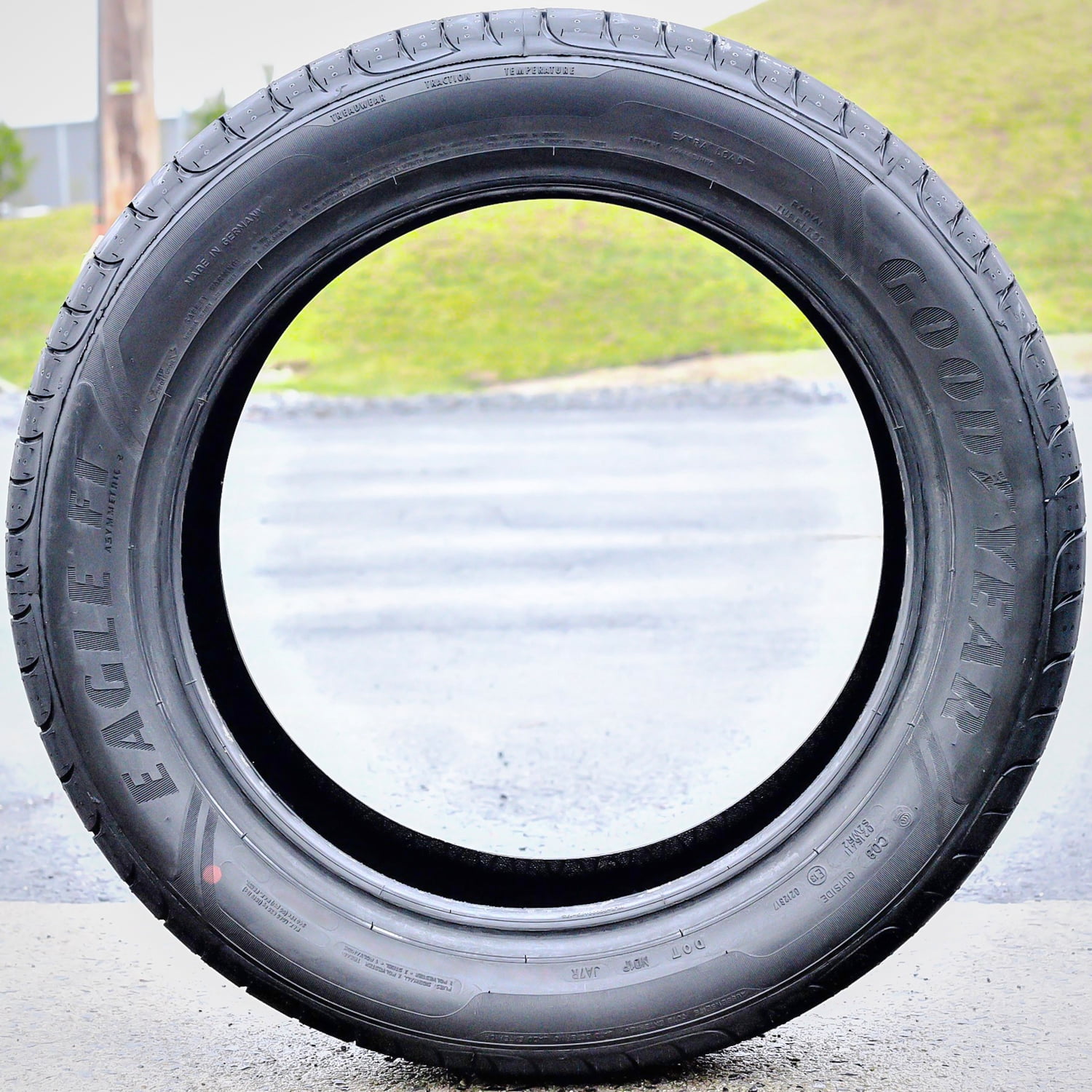Goodyear Eagle F1 Asymmetric 2 ROF 225/40R19 89Y Standard Load High Performance Summer One Tire