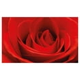 thumbnail image 4 of Rose Ceramic Toothbrush Holder, Close up Macro of a Red Rose Bloom Fresh Natural Beauty Valentine's Day Couples Theme, Decorative Versatile Countertop for Bathroom, 4.5" X 2.7", Vermilion, 4 of 4