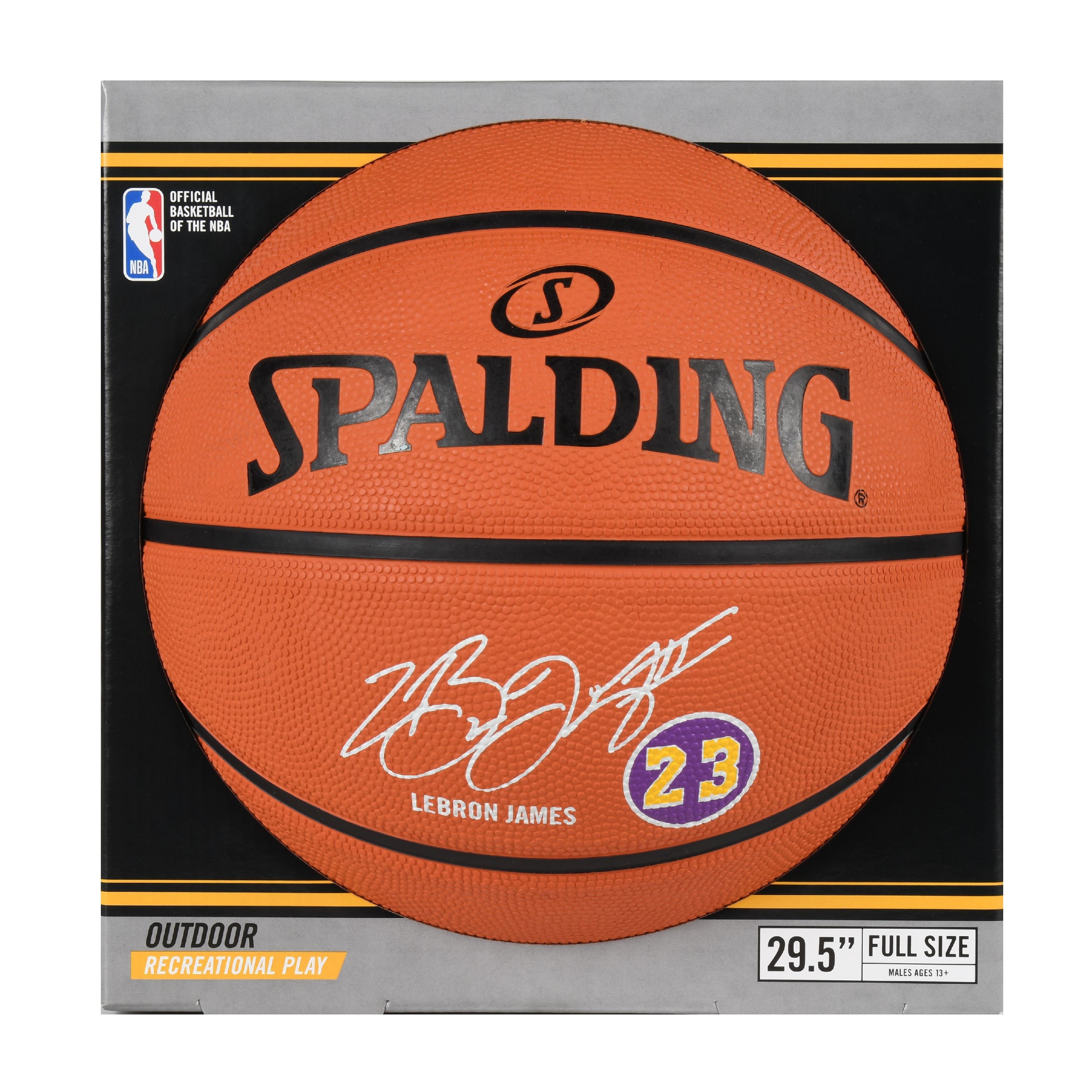 lebron james basketball ball