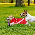 thumbnail image 3 of BEADCEST 1Set Dog New Year Costume Chinese Style Red for Photo Taking, 3 of 8