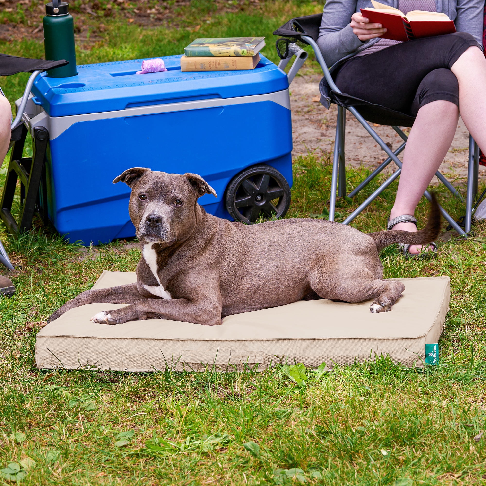 Premium Indoor-Outdoor Deluxe Orthopedic Mattress Pet Bed, Biscuit, Large