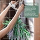 thumbnail image 4 of Eucalipto seco rama eucalipto seco 17 pulgadas lavanda seca decoración para ducha arreglo floral jarrón, 4 of 8