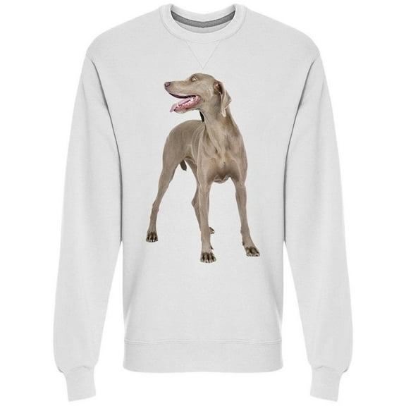 Distracted Weimaraner Dog Sweatshirt Men -Image by Shutterstock, Male 3X-Large