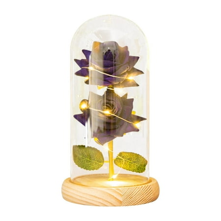 

Nest & Nook Eternal Flower Simulation Rose Glass Cover Decoration LED Creative Night Light Gift For Girlfriend On Valentine s Day