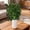 H, variant on Briful Fake Olive Branches in Rustic Metal Vase 36.22'' Faux Olive Greenery Stems Artificial Potted Plant for Farmhouse Home Living Room Bathroom Kitchen Table Centerpiece Decor (6 Cross Gray)