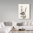 thumbnail image 3 of Trademark Fine Art 'Sumi Daylily III' Canvas Art by Chris Paschke, 3 of 3