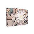thumbnail image 2 of Trademark Fine Art 'Pebble Beach II' Canvas Art by Jason Johnson, 2 of 3