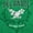 Irish Green, variant on Cute Delaware Floral Eagle DE Girl Women's Graphic T Shirt Tees Brisco Brands M