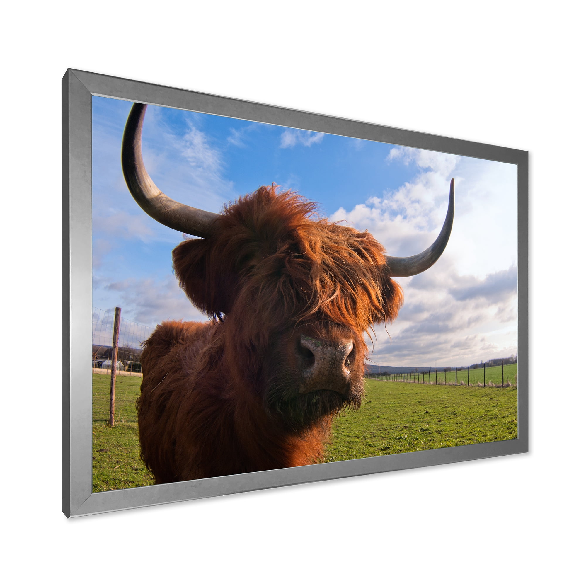 Designart 'Close Up Portrait Of A Yak' Farmhouse Framed Art Print