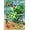 Lucky Chair, variant on St Patricks Day Beach Chair Decorative House Flag, Lucky Shamrock Clover Hat Coastal Ocean Garden Yard Outside Decorations, Spring Irish Rainbow Outdoor Large Home Decor Double Sided 28 x 40