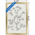 thumbnail image 3 of Jean Plout - Botanical Studies on Paper Parsley Wall Poster, 14.725" x 22.375" Framed, 3 of 6