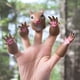 thumbnail image 5 of Marioneta de mano de dedo de ardilla, juguetes novedosos, accesorios para muñeca de dedo, marioneta de dedo de Animal, regalo ER, 5 of 5