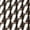 Natural, variant on Apple Watch Series 11 GPS + Cellular 42mm Titanium Case