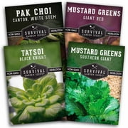 Mustard Greens Seeds Collection - 4 Packs of Mustard Green Seeds - Full Sun Biennial Vegetable