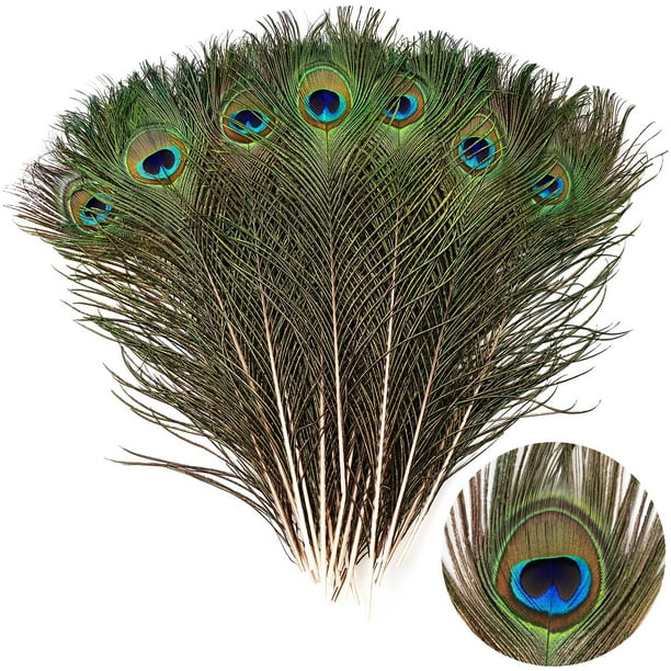 Plumas de pavo real THARAHT, 24 unidades de largo, naturales, 35-40 cm, para manualidades