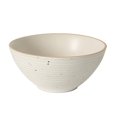 thumbnail image 4 of Safdie & Co. Porto Stoneware Dinnerware 12PC Set Cream, 4 of 4