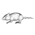 thumbnail image 2 of Decantador de whisky Sunnimix Decantador de vidrio de alto borosilicato 500ML, 2 of 8