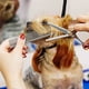 thumbnail image 3 of peigne Pour Animaux De Compagnie En Acier Inoxydable Peigne Pour Chiens Dents Rondes Pour Chiens Et Chats Aux Cheveux Emmls (19 X 3,5 Cm), 3 of 5