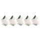 thumbnail image 5 of Mantos De Linterna, Mantos Ligeros, Mantos De Lámpara De Gas Con 5 Piezas Para Acampar, 5 of 7