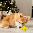 thumbnail image 3 of Star Dog Toy Interactive Rubber Interactive Pet Dispenser Toy Dog Squeaky Toy, 3 of 10