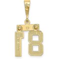 thumbnail image 3 of Avariah 14k Yellow Gold Small Brushed Diamond-cut Number 81 Charm, 3 of 6