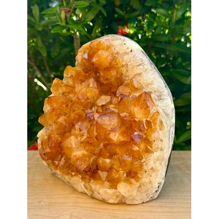 Finely Polished Citrine Clusters With Cut Base | Honey Citrine Quartz Cluster (5-6 lb)