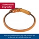 thumbnail image 3 of Collar para perro Coastal Circle T, piel curtida, roble, color canela, 1 x 30 cm, 3 of 7
