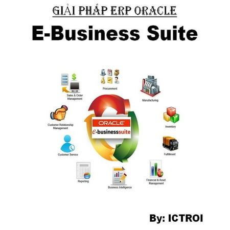 Giải Pháp Erp Oracle E-Business Suite - eBook (Oracle E Business Suite Controls Application Security Best Practices)