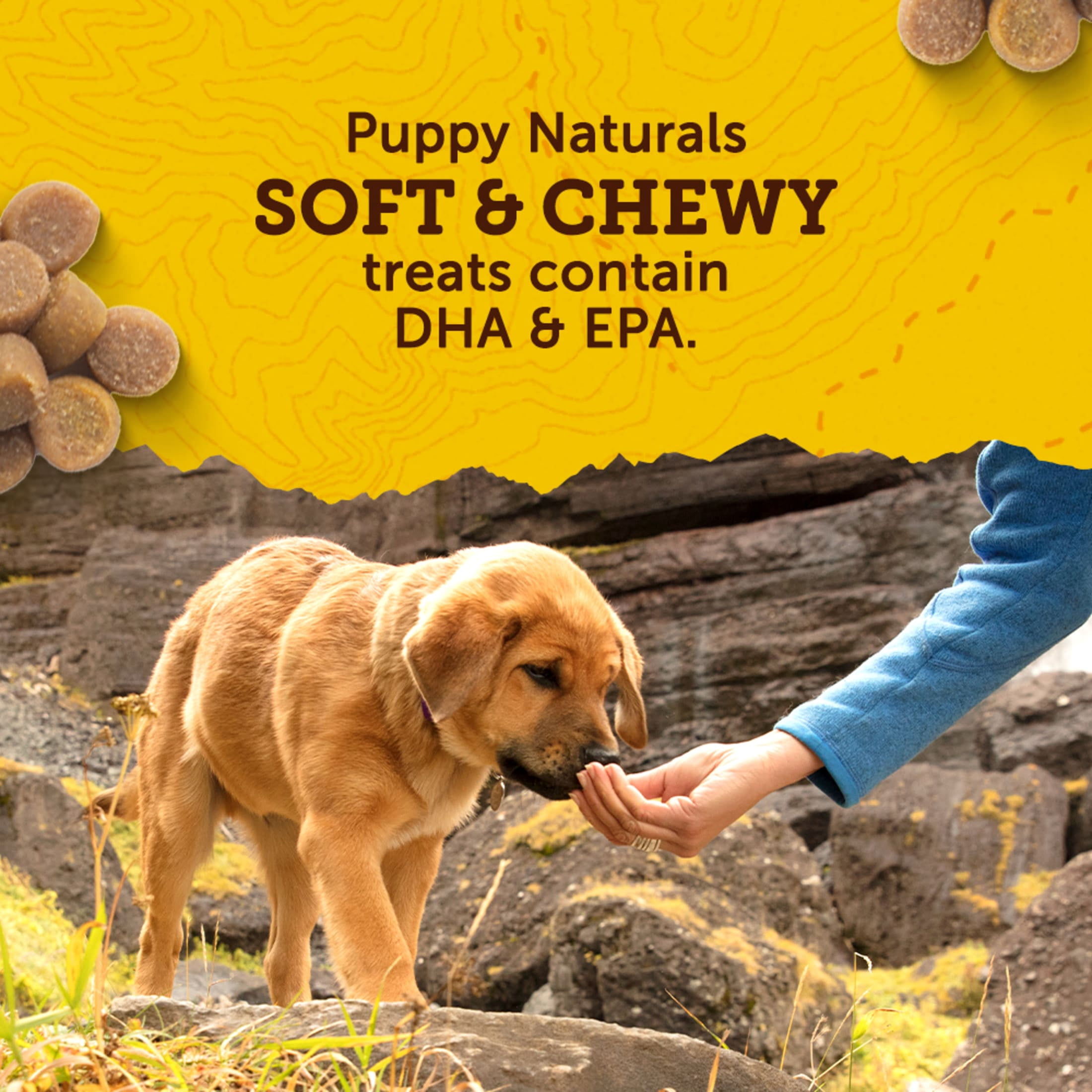 (8 pack) Zuke's Puppy Naturals Dog Training Treats, Lamb & Chickpea Recipe, Tender Chews, 5 oz Pouch