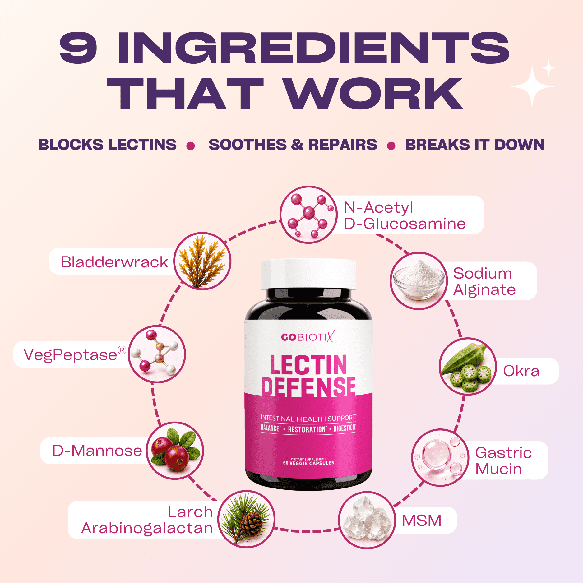 GoBiotix Lectin Defense Supplement for Intestinal Health, Bloating, and Immune Support, 60 Capsules