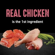 Crave Grain Free Indoor Natural Dry Cat Food With High Protein From Chicken & Salmon, 10 Lb. Bag