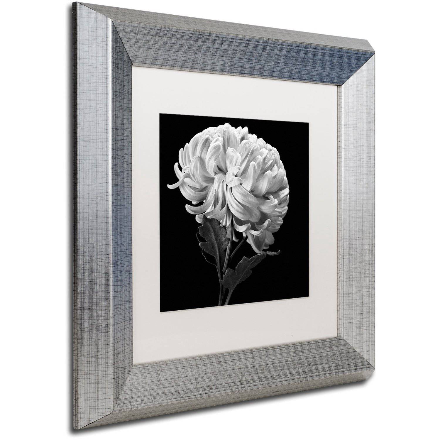 Trademark Fine Art "Mum II" Canvas Art by Michael Harrison White Matte, Silver Frame