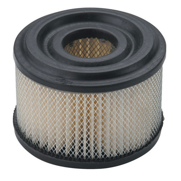 Briggs & Stratton Genuine OEM 390492 Air Filter