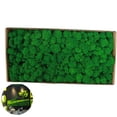 thumbnail image 3 of Decoración de pared de musgo preservado Musgo preservado real No requiere mantenimiento Musgo preservado naturalmente para festivales de fiesta en la pared del hogar, 3 of 8