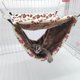 thumbnail image 5 of Billuyoard Hamaca colgante para hámster colgante cálido de doble capa sándwich hámster ardilla hamaca para animales pequeños Aseo de mascotas leopardo rosa Billuyoard  PT001371-01, 5 of 6