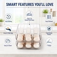 thumbnail image 2 of Maspost 2-Tier Refrigerator Egg Holder, Clear Plastic Fridge Organizer with Lid, 36-Count Capacity, 2 of 8