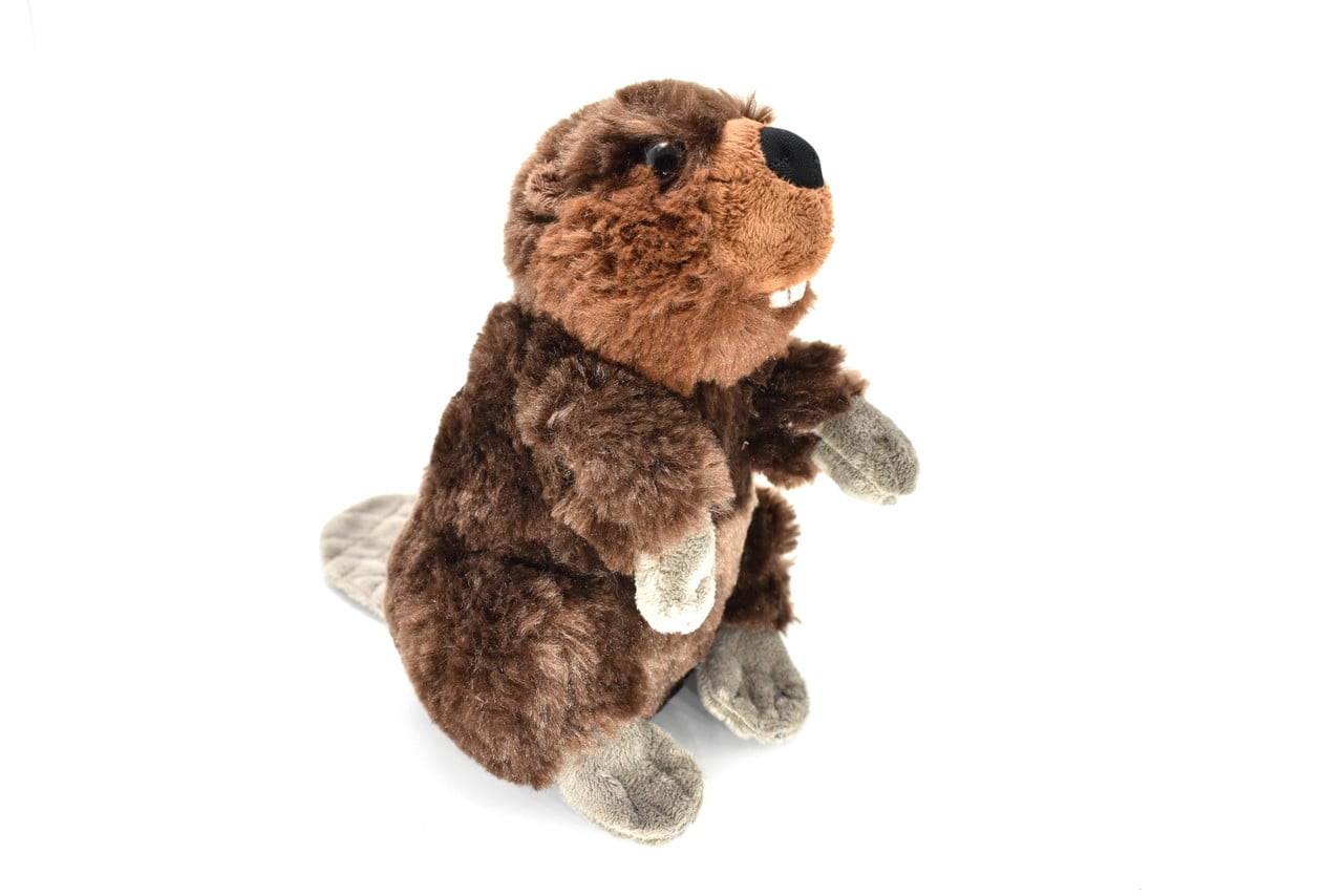 Beaver 12