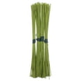 thumbnail image 5 of 200 Pcs Wire Flowers Floral Stem with Leaves Coated Wires Spring Green, 5 of 7