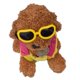 thumbnail image 1 of Gafas de sol para perros, gafas de sol para mascotas, gafas de sol plegables para perros con protección UV, 1 of 5